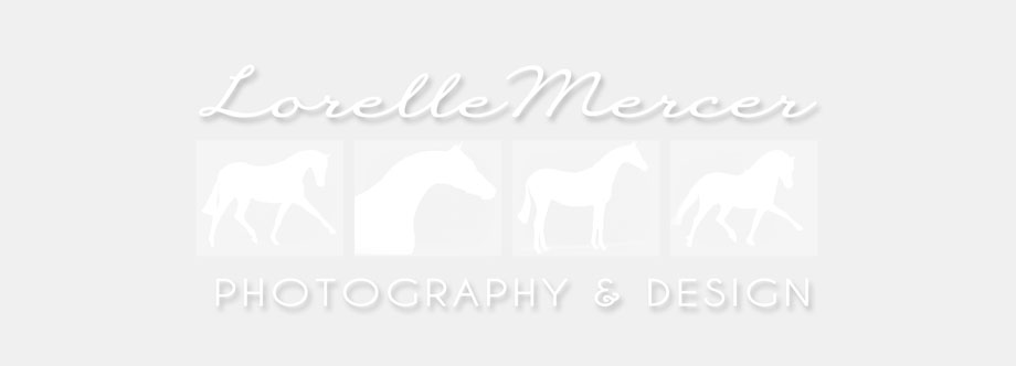 Lorelle Mercer Photography & Design